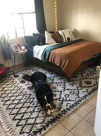 2 bed, 1000 sqft, $1,500 — Photo 2