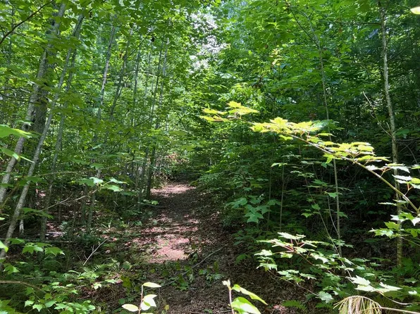 0 Indian Rock Rd, Hiawassee, GA 30546