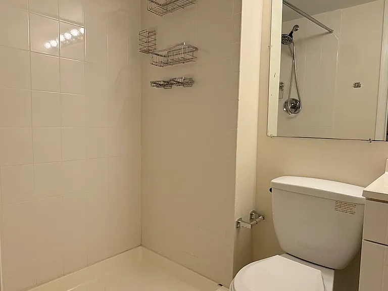 3rd Bathroom - Lower Level