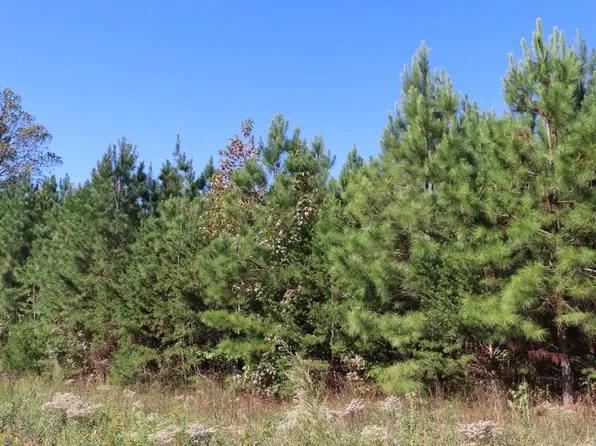 15 Farmville Rd #3, Meherrin, VA 23954