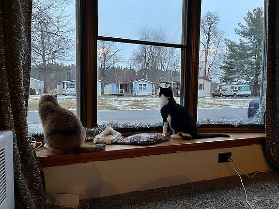 View from living room