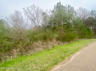 Edward Owens Dr, Terry, MS 39170