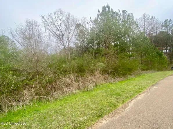 Edward Owens Dr, Terry, MS 39170