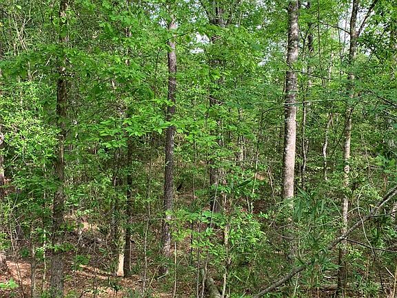 2nd image of Macedonia Rd