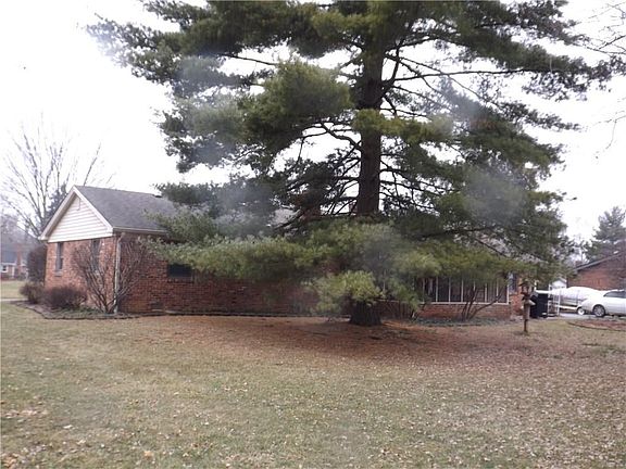 back of house with large pine tree.