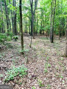 0 Archer Grove School Rd Tract B, Athens, GA, 30607
