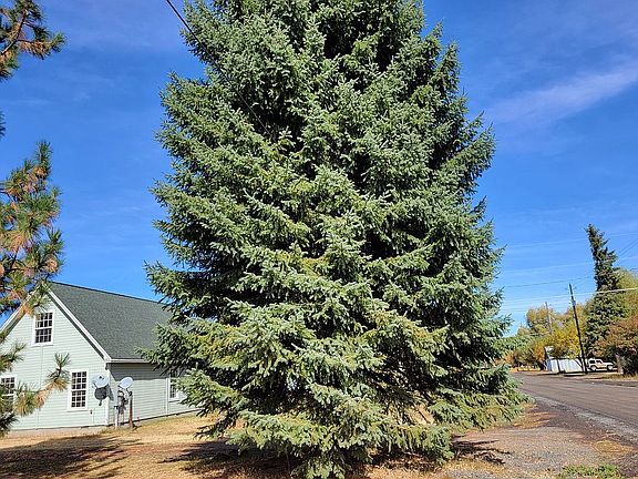 3rd image of 309 S Heigho Ave