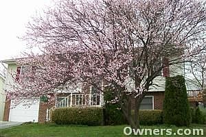 1st image of 120 Woodys Pl