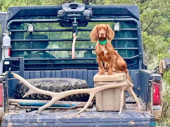 Old 595 Hwy, Regina, NM 87046