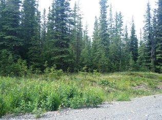 L10 B2 West C Street Ext, Tok, AK 99780