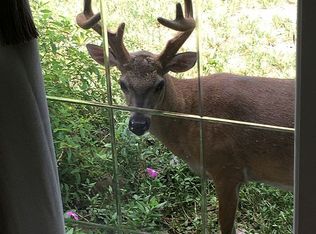 30336 Palm Dr, Big Pine Key, FL 33043