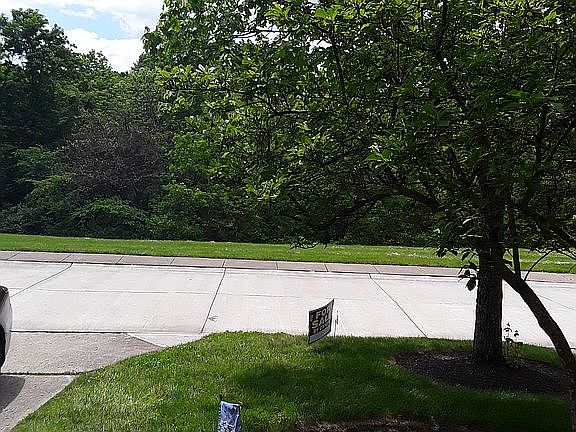 Looking across the street