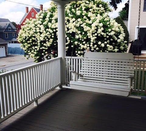 Porch swing