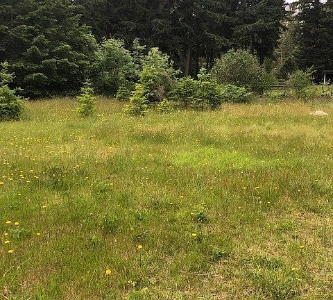 3rd image of 12849 123rd Ave SE