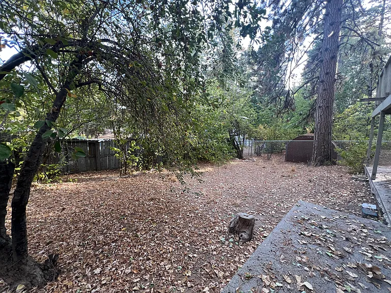 Back yard.