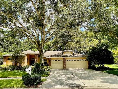 2039 Swan Ln, Palm Harbor, FL, 34683
