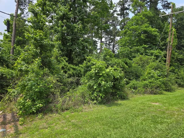 96 Indian Creek Dr, Conroe, TX 77304