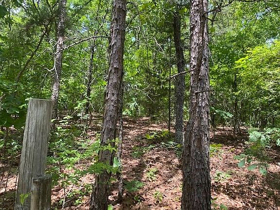 4th image of 3677 Center Hill Rd