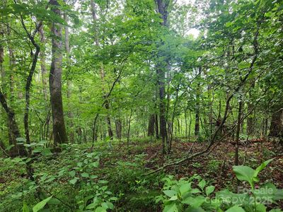 Henry Worley Ln, Marshall, NC, 28753