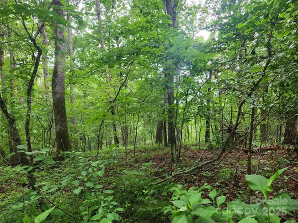 Henry Worley Ln, Marshall, NC 28753