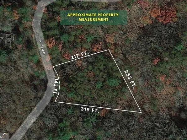 2192 Wildcat Dr #304, Dawsonville, GA 30534