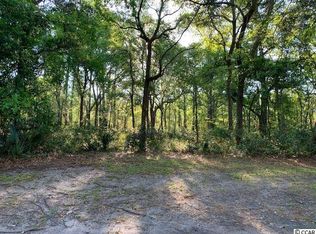 11 Lantana Cir, Georgetown, SC 29440