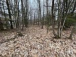 3rd image of LOT 705 Wolfe Trl