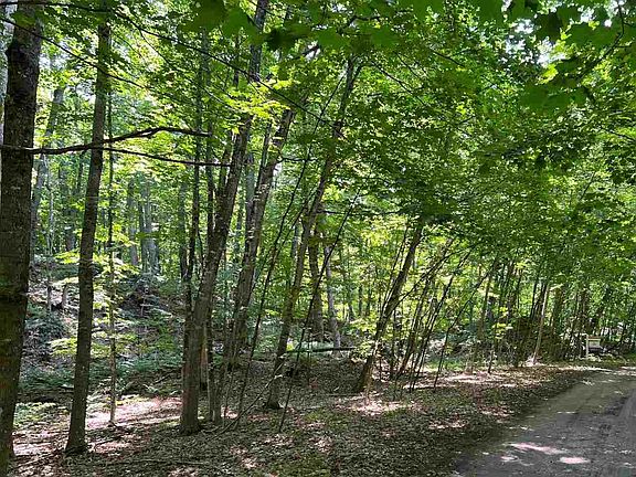 3rd image of LOT 247 White Birch Rd