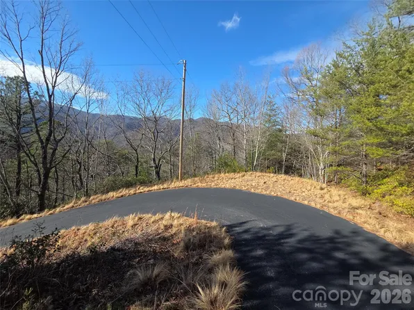 81 Lucerne Dr, Canton, NC 28716