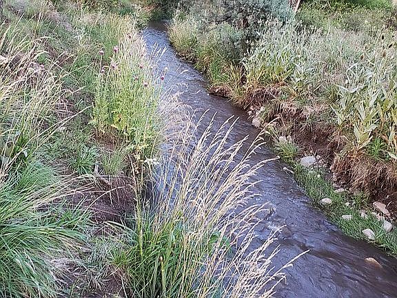 Rio Bonito