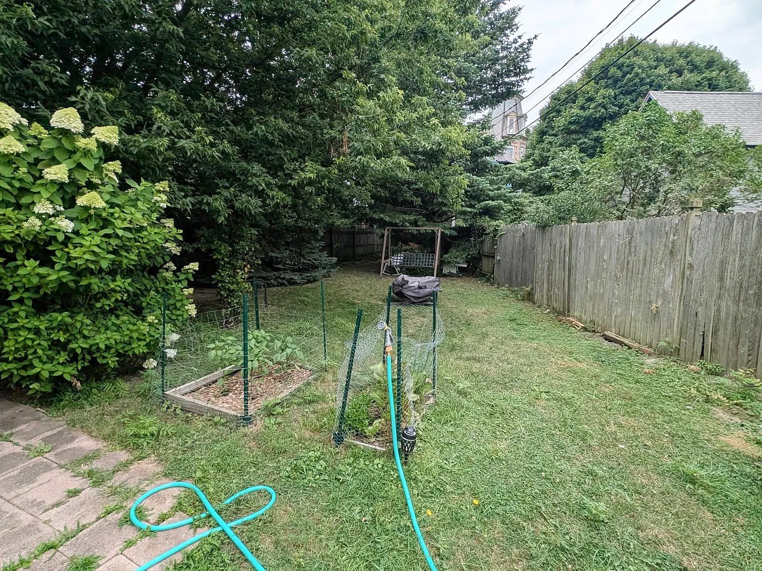 3 bed, 1.5 bath, 1700 sqft, $3,000 — Photo 3