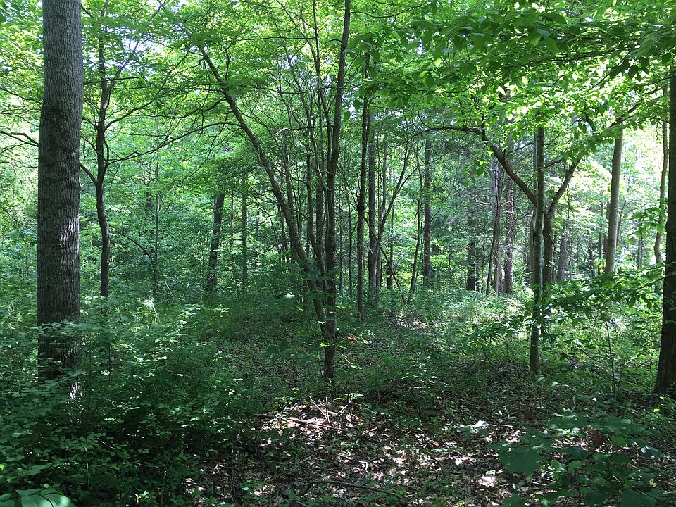Nicely wooded, easy terrain.
