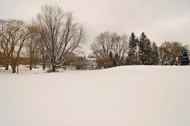 2nd image of 1646 Dunbar Rd