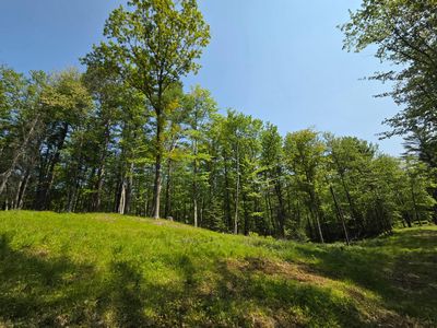 3827 Harshaw Rd, Harshaw, WI, 54529