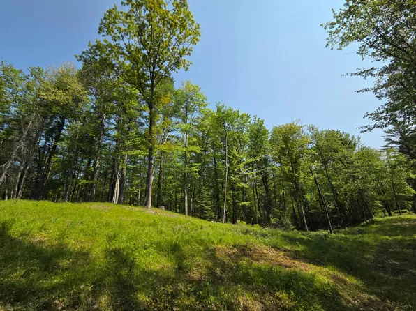 3827 Harshaw Rd, Harshaw, WI 54529