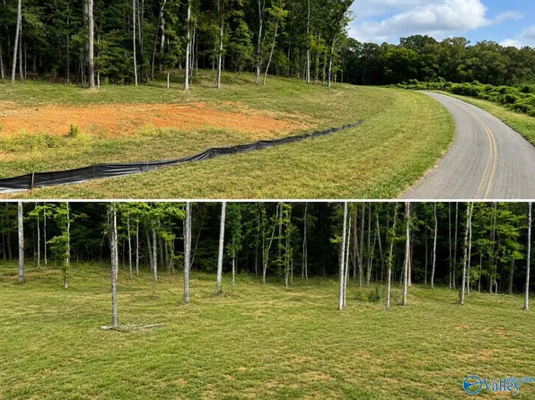 LOT 2 County Road 114, Scottsboro, AL 35769
