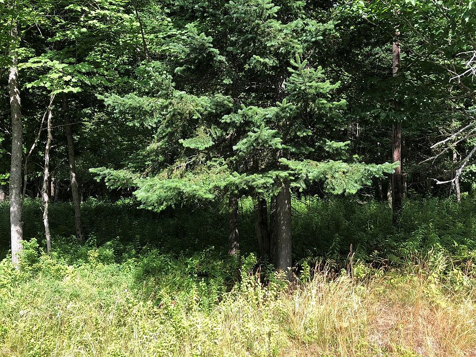 2nd image of 13 Nys Route 30 Lot 1