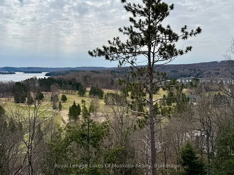 11 Tree Tops Ln #203 — Photo 21