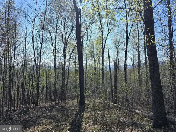 LOT 2 S Fort Valley Rd, Madison, VA 22727