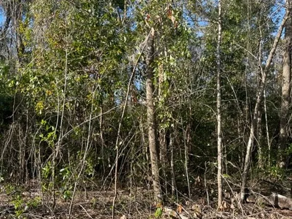 0 Illinois SW, Fort White, FL 32038