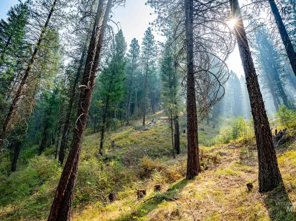 Forestland, Boise, ID 83716