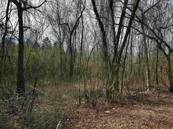 10 Southside Rd, Oden, AR 71961