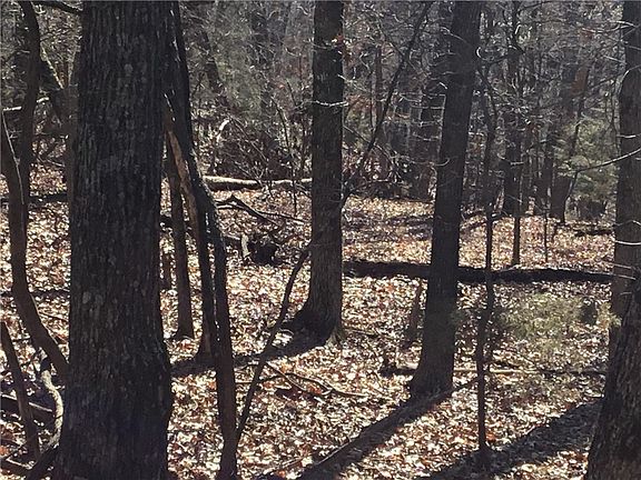 5th image of Lots 85 And 86 Oak Leaf Dr #85