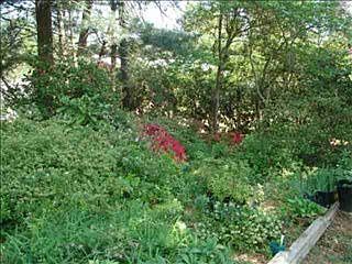 5th image of 219 Anita Dr