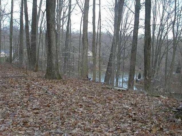 1st image of 0 Locust Lake Dr