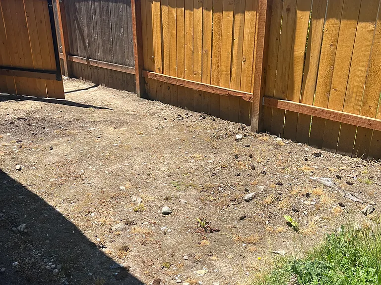 14508 NE 7th Pl #3 — Photo 4