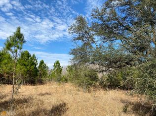 8 State Highway 200, Damascus, GA 39841