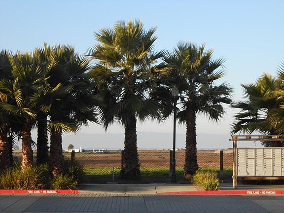 View across the street showing the open space leading to the Bay Trail