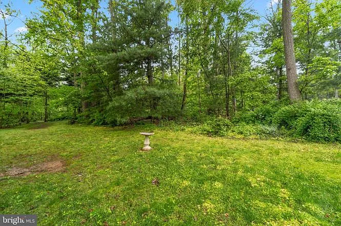 320 Kalorama Rd — Photo 3