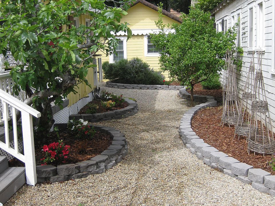 Pea gravel path to the back cottage, with fig and lime tree, area to grow veggies